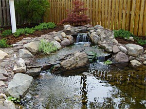 Pond with waterfall 3